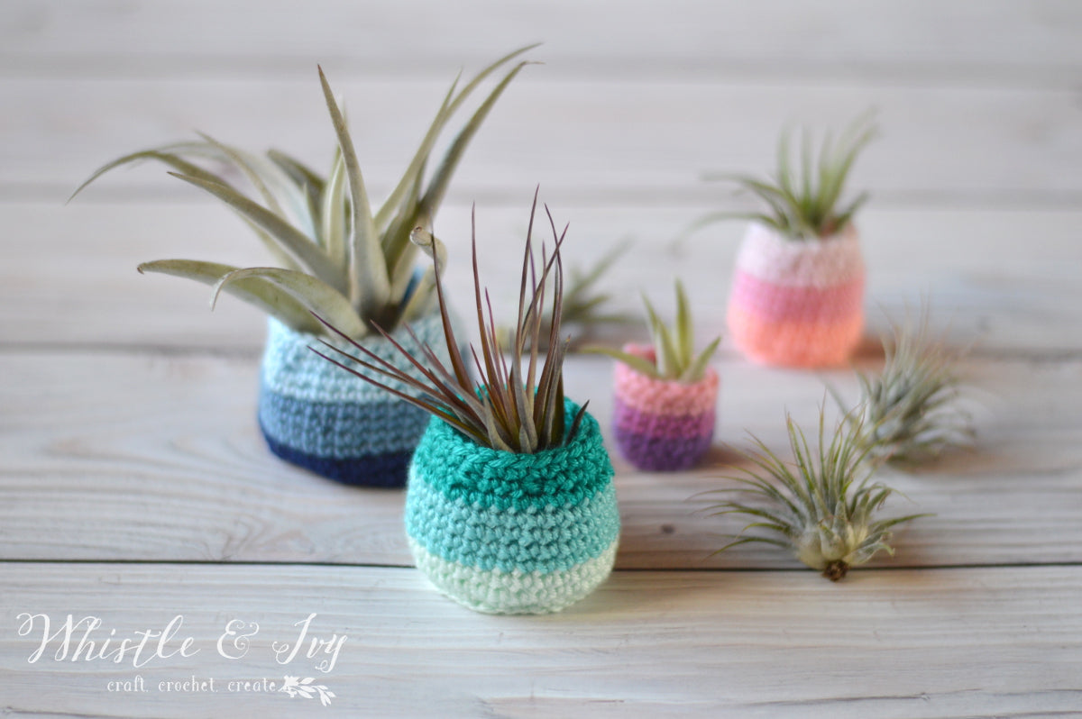 Air Plant Pots [crochet pattern] – Whistle and Ivy Modern Crochet Patterns