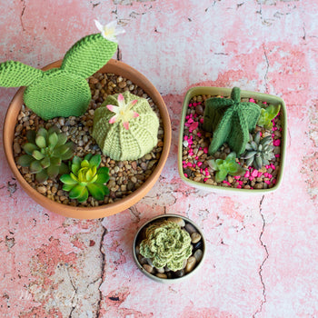 succulents and such Succulents – Whistle and Ivy Modern Crochet Patterns