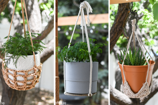 Hanging Planter Pack